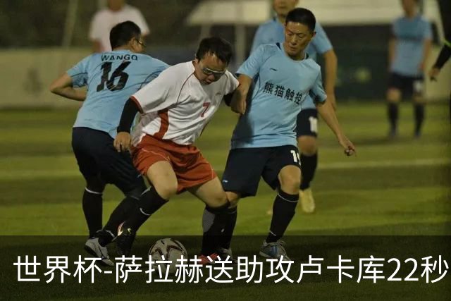 世界杯-萨拉赫送助攻卢卡库22秒造乌龙 比利时1-1埃及